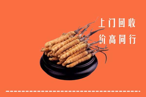高价求购：滦南县回收散虫草