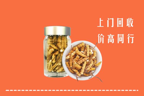 滦南县回收冬虫夏草